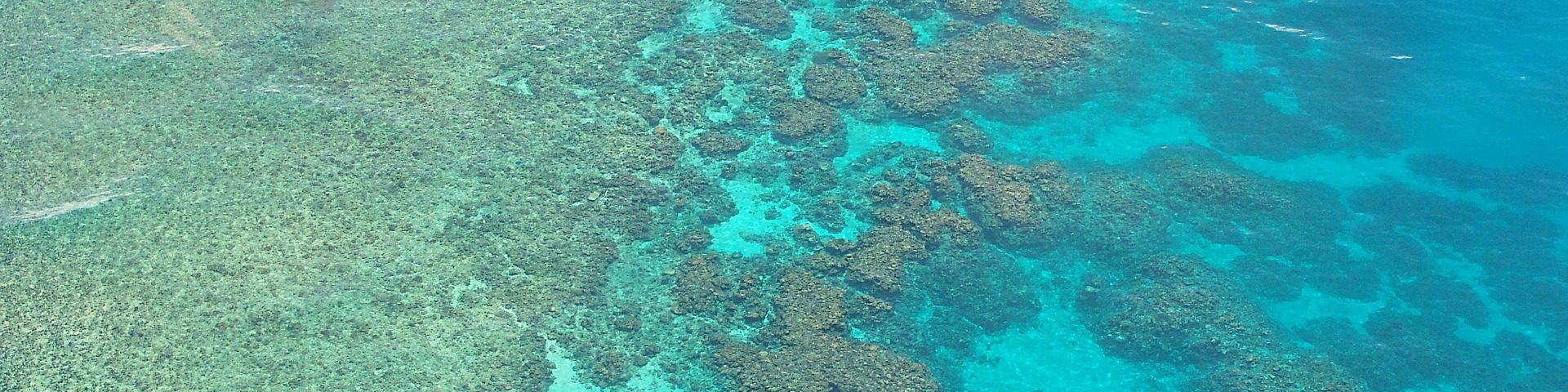 Great Barrier Reef Riff