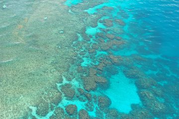 Great Barrier Reef Riff